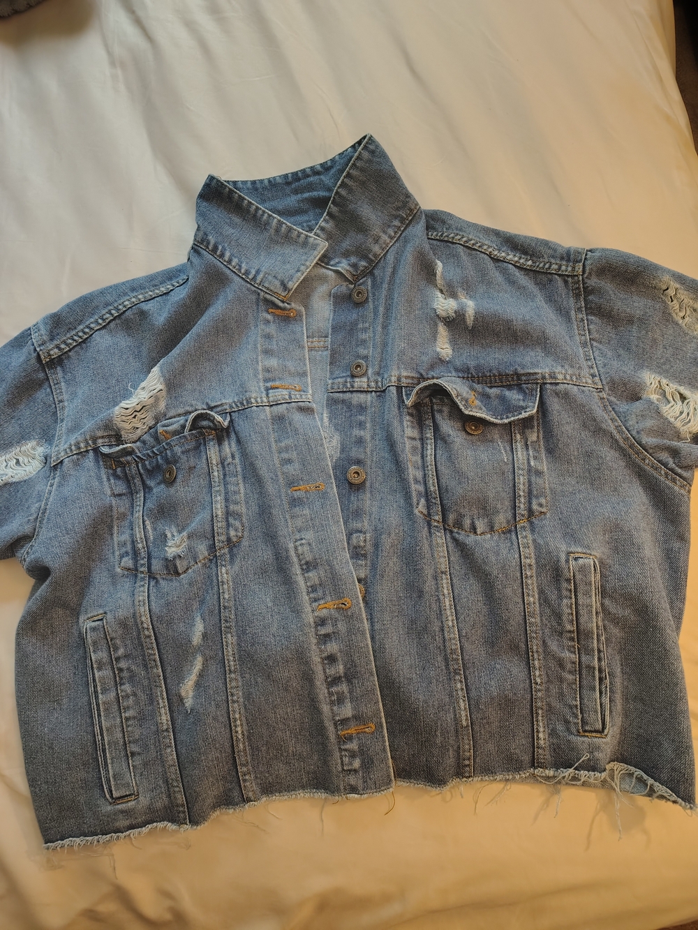 Distressed Light Blue Denim Jacket - Cropped